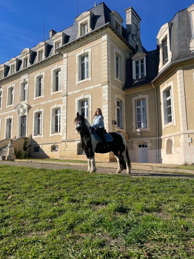 Du Campagnard Du Chateau De La Bouchatte Holiday home Chazemais