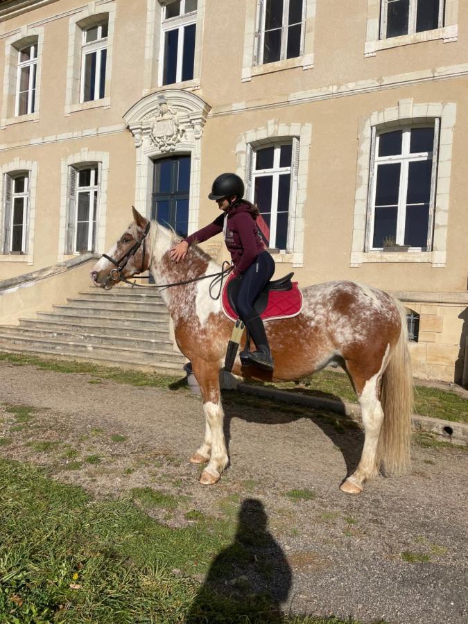 Du Campagnard Du Chateau De La Bouchatte